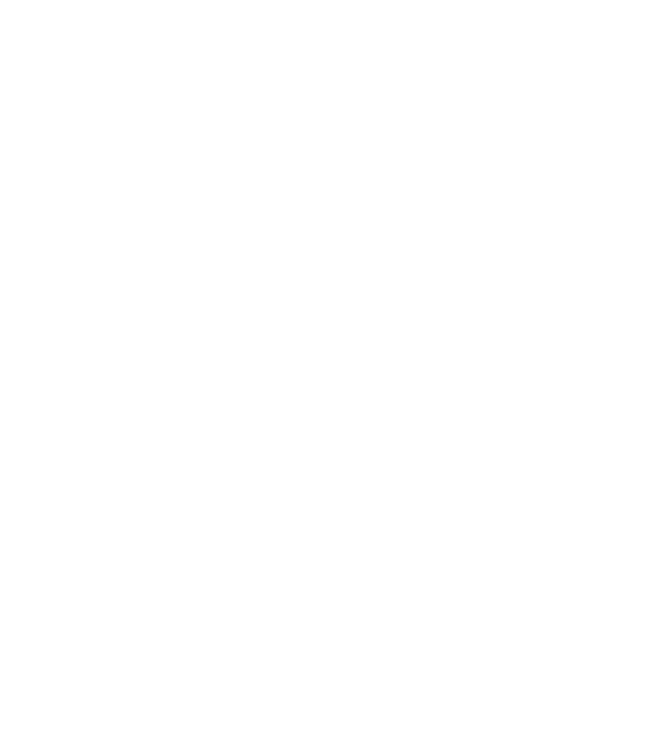 LEO JETLIMO BY LJT LOGISTICS LLC